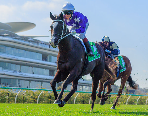 Crossbow Looks Capable Of Heading To Better Races For Star Thoroughbreds - Image Barbour/Racing Photos