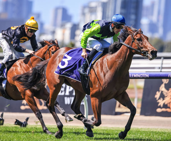Two from two for La Rocque (image Grant Courtney)