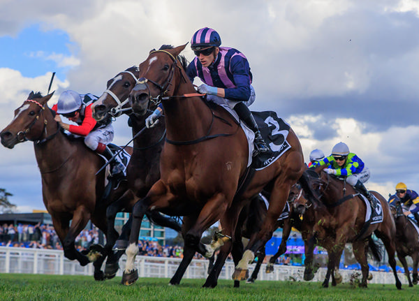 Close Finish As First Three Home Were Separated By A Half Length Margin - Image Grant Courtney