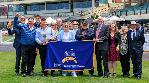 Magic Millions Eligible, Eternal Warrior Could Head North For the $3m Magic Millions 2YO Classic In January - Image Grant Courtney