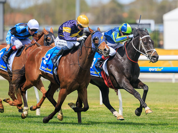 Saturday's G2 Herbert Power Was The First Black Type Win For Brayden Star - Image Grant Courtney