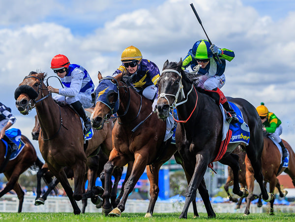 Brayden Star Fights Strongly On The Rail To Win G2 Herbert Power Stakes - Image Grant Courtney
