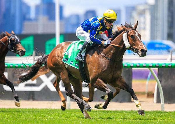 Dominate Listed TAB Trophy Victory Henry Dwyer's Different Gravy - Image Grant Courtney