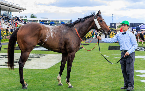 Different Gravy Will Now Head Towards $400,000 Melbourne Classic (2000m) At Caulfield On November 29