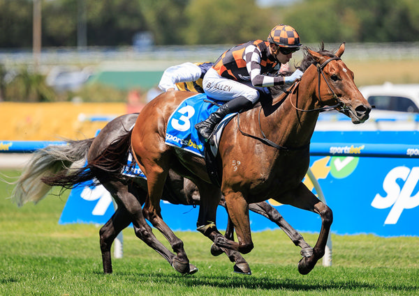 First Black Type Success For Magnus Gelding Magnaspin - Image Grant Courtney