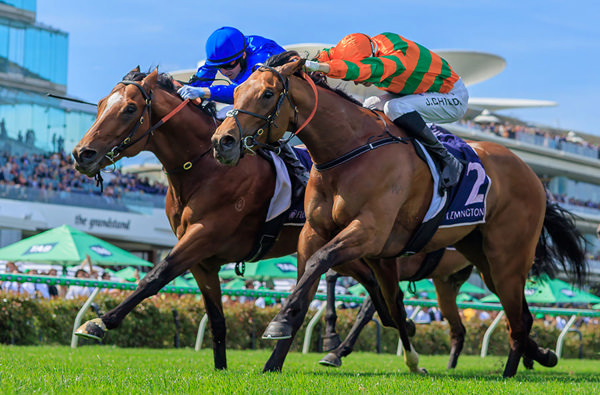 Third Win From Four Starts For Godolphin's Options - Image Grant Courtney