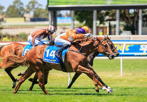 Rubi's Choice Showed Plenty Of Fight In The Run To The Line - Image Grant Courtney