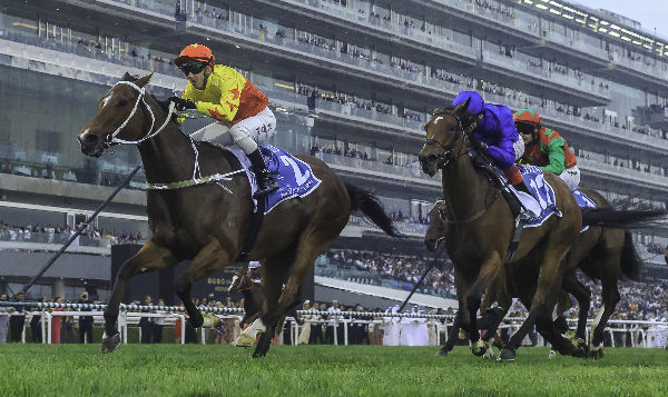 The pride of Hong Kong - California Spangle wins the G1 Al Quoz Sprint - image Grant Courtney  