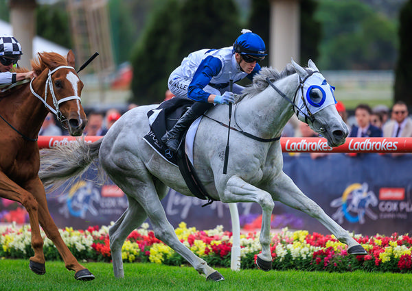 First Black Type Victory For Salty Pearl - G2 MVRC Fillies Classic - Image Grant Courtney