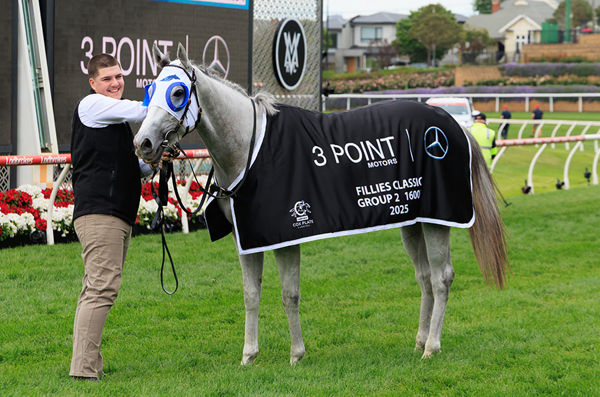 Future G1 Racing Is ON The Cards For Salty Pearl - Image Grant Courtney