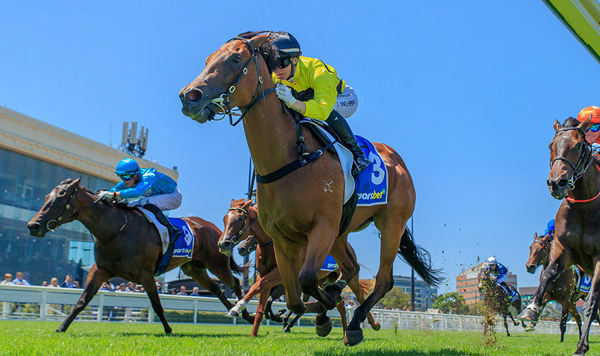 Magnus Filly Streisand Breaks Her Maiden In The G2 Blue Diamond Prelude - Image Grant Courtney