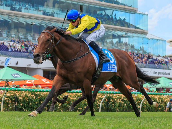 Second Black Type Win For Fiorente 5yo Apulia - Image Grant Courtney