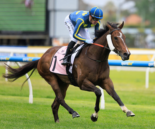 Different Gravy Wins The Inaugural Running Of The $400,000 Melbourne Classic (2000m) - Image Grant Courtney