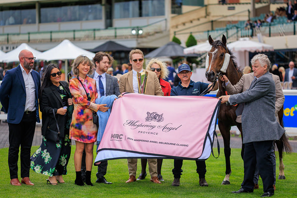 Different Gravy Could Target The G1 Queensland Derby During The Winter of 2026 - Image Grant Courtney