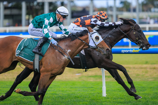 First Stakes Success For Vinnie Colt Jimmy Recard - Image Grant Courtney
