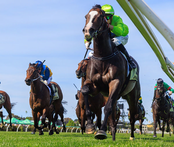 Third Black Type Win For Miraval Rose - Image Grant Courtney