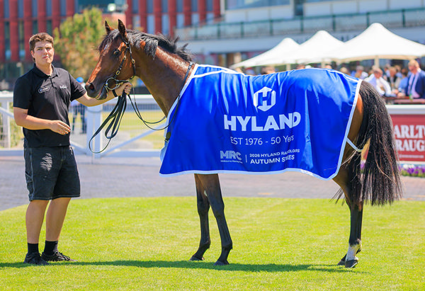 An Exciting Autumn Awaits Observer, But First Stop - G1 Australian Guineas - Image Grant Courtney