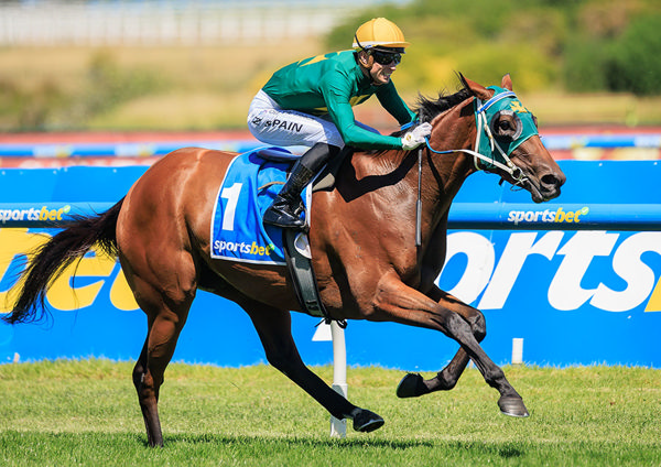Three Black Type Races On The Trot And More To Come For Sheza Alibi - Image Grant Courntey