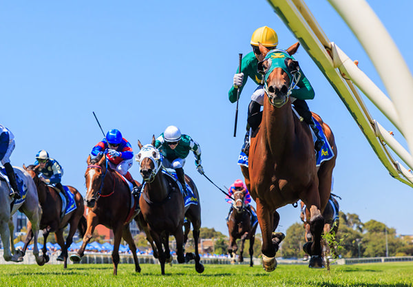 Finding A Gap And Charging Along The Rail To Success - Image Grant Courtney