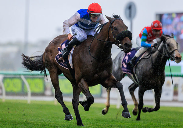 First Group Victory For Whisky On The Hill, Taking Out The G3 Queen Elizabeth Stakes - Image Grant Courtney