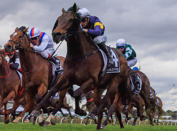 Arkansaw Kid Wins His Second G2 Bobbie Lewis Quality - Image Grant Courtney