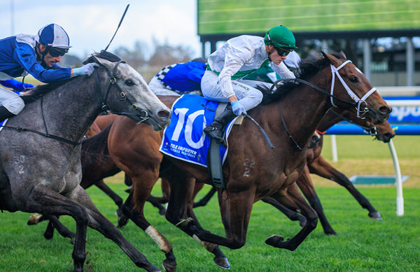 Group 3 Quezette Stakes Victory For Astern Filly Ferivia  - Image Grant Courtney