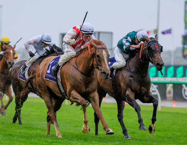 G1 Champions Sprint To Giga Kick - His Third G1 Win - Image Grant Courtney