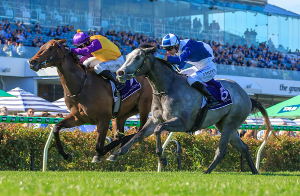 McGaw Gets The Better of My Gladiola To Win The G2 Danehill Stakes - Image Grant Courtney