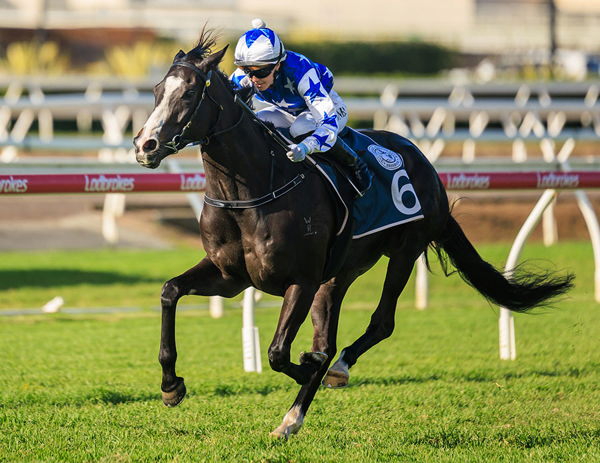 Russian Revolution Mare Miss Joelene Wins The Listed Tattersall's Gold Crown - Image Grant Courtney