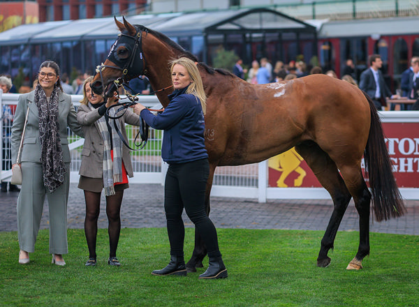 The G1 Manikato Could Be A Suitable Option For tropics - Image Grant Courntey
