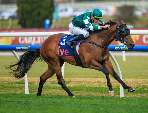 Second G3 Victory For Tycoon Star - G1 Coolmore Stud Stakes A Possibility - Image Grant Courtnety