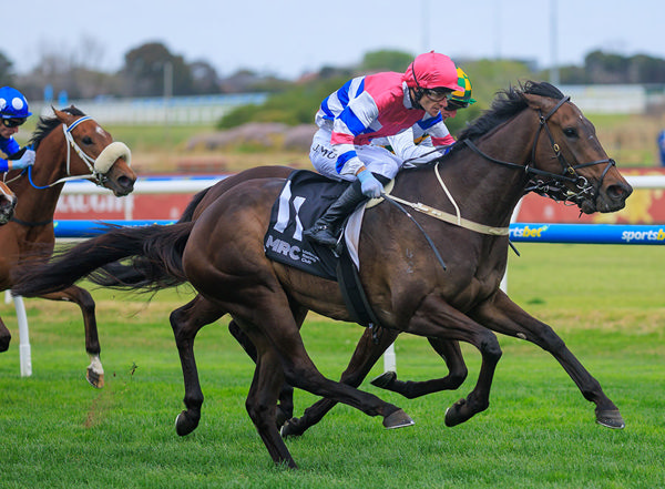 Yum Powers To Victory In The Listed Jim Maloney Stakes - Image Grant Courtney