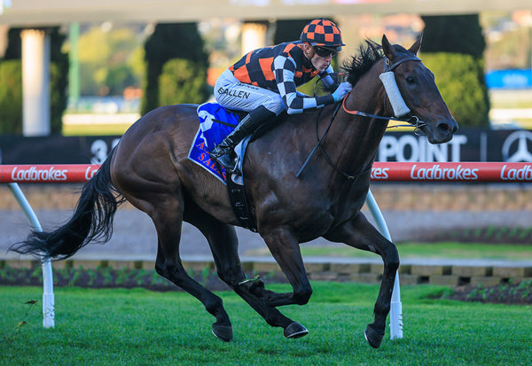 Second Stakes Victory For Baraqiel - Winner Of Saturday's Listed Carlyon Stakes - Image Grant Courtney