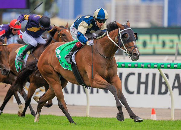 Second Australian stakes victory and third overall for 5yo gelding Birdman - Image Grant Courtney