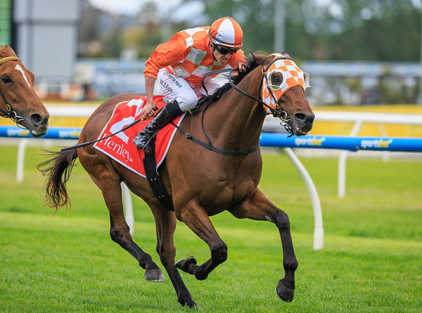 With Ears Pinned Back, Casino Seventeen Wins The G3 Eclipse Stakes - Image Grant Courtney