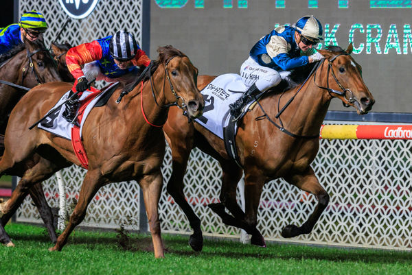 Coolangatta goes coat to coat in Moir Stakes (image Grant Courtney)