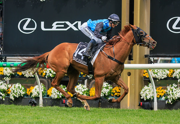 History For Jamie Melham As Half Yours Adds The Melbourne Cup To His Caulfield Cup Success - Image Grant Courtney
