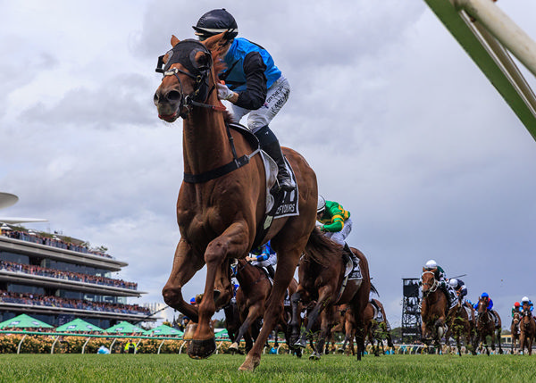 Who Said We Can't Breed Stayers - Australian Bred Half Yours Wins With Ease - Image Grant Courtney