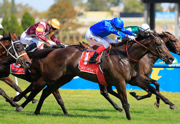 He's Done It! Pericles Wins His First G1, Taking Out The Futurity Stakes - Image Grant Courtney