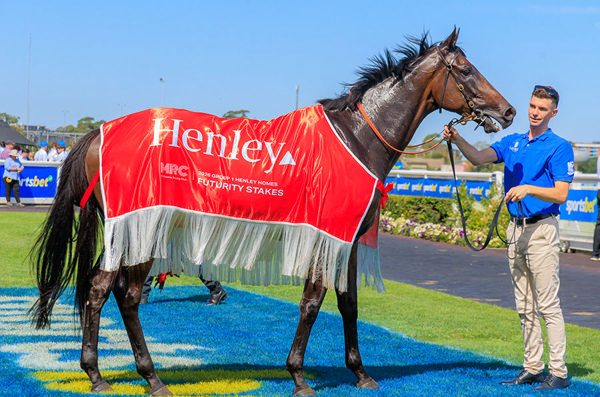 Pericles Is Likely To Head To The G1 All-Star Mile And Clash With Fellow Godolphin Owned, and Last Yer's Winner Tom Kitten - Image Grant Courtney