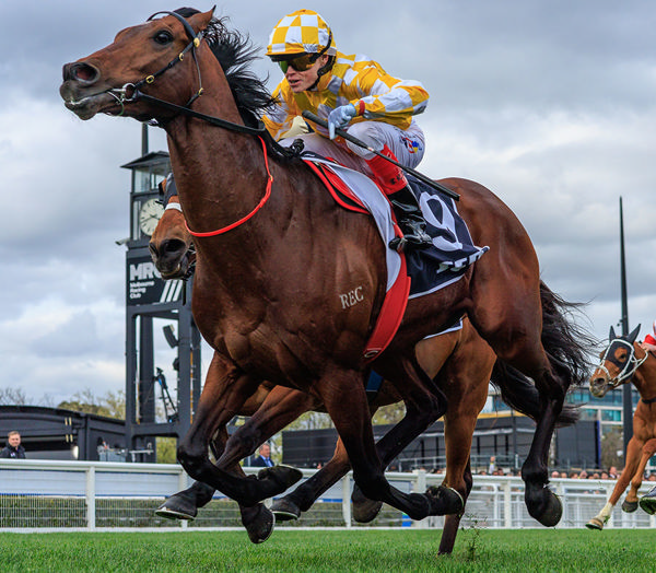 Sir Delius Gets The Better of Buckaroo To Win The G1 Underwood Stakes - Image Grant Courtney