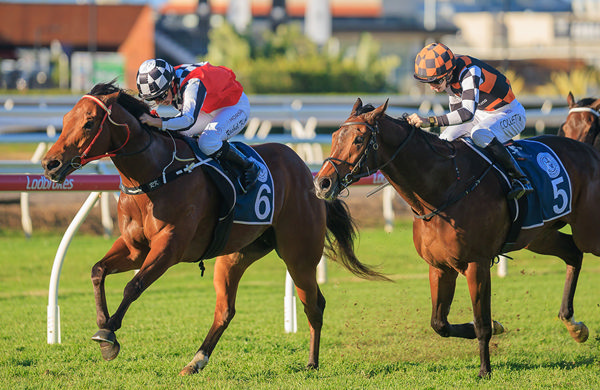 The Inflictor Wins The Listed Tattersall's Mile For Trainer Craig Cousins - Image Grant Courtney