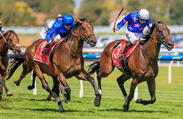 Tom Kitten Gets The Better Of Feroce To Win The G3 Kevin Heffernan Stakes At Caulfield - Image Grant Courtney