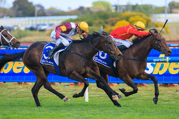 First G1 Success For Snitzel Gelding Transatlantic - Image Grant Courtney