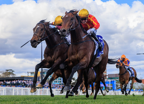 Transatlantic Turned The Tables On Last Start Victor Evaporate - Image Grant Courtney
