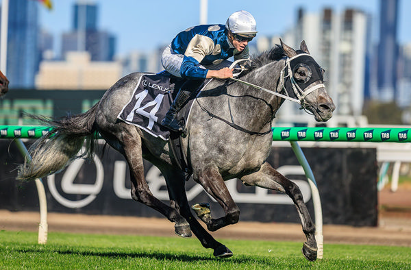 Success In The G3 Bart Cummings Sees Valiant King Secure Melbourne Cup Run - Image Grant Courtney