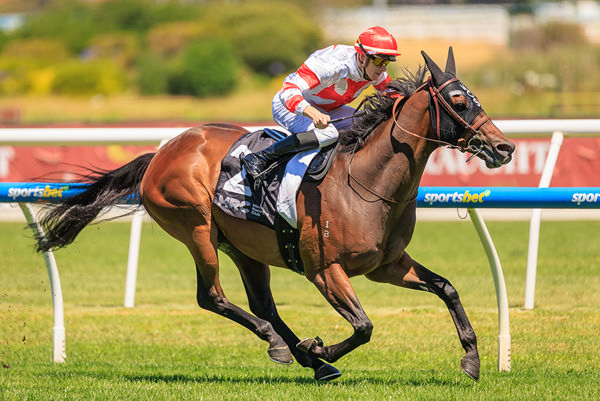 Second Stakes Win For Reward For Effort's Way To The Stars - Image Grant Courtney