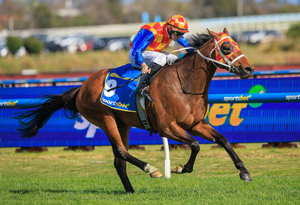 G1 Caulfield Guineas Goes To Autumn Boy - Image Grant Courtney