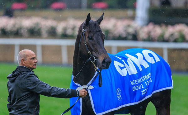 Manhattan Rain Gelding Jigsaw Took His Earnings Soaring Past $1.3m - Image Grant Courtney