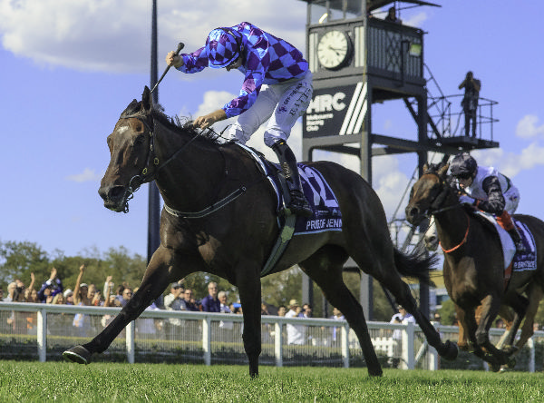 Pride of Jenni is looking to extend her speed to 2000m on Saturday - image Grant Courtney 